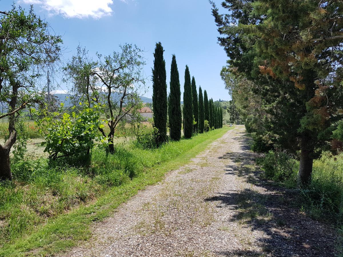 Porrona Agriturismo Bio Le 4 Stagioni מראה חיצוני תמונה